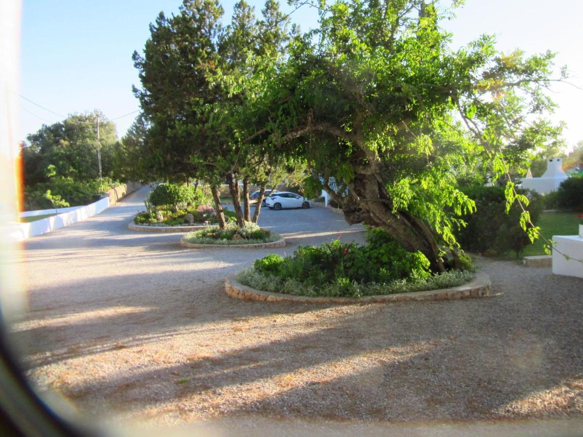 Gorgeous Holiday Home in St Josep de sa Talaia Ibiza with ...