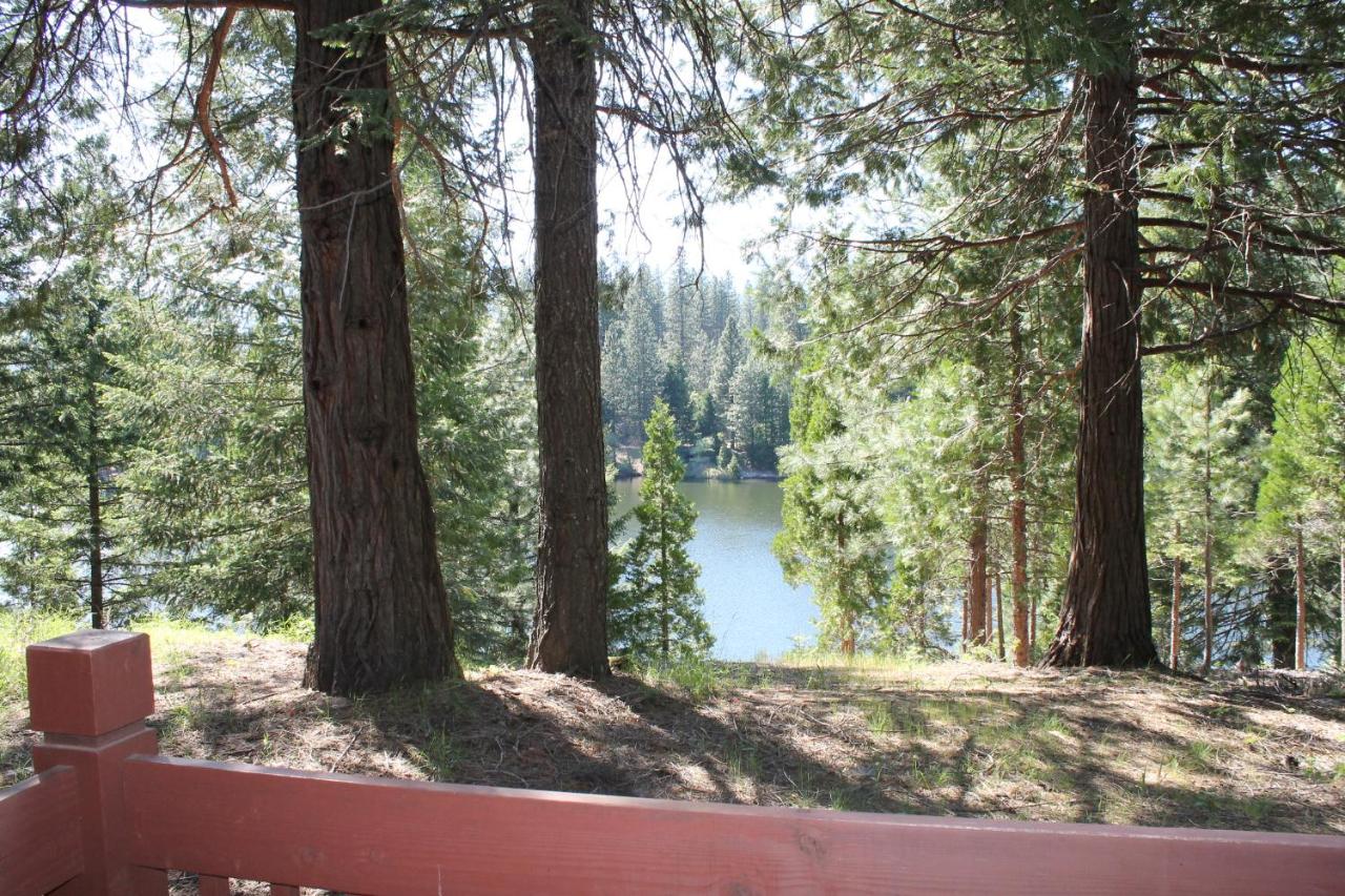 Mount Shasta Resort — photo 19