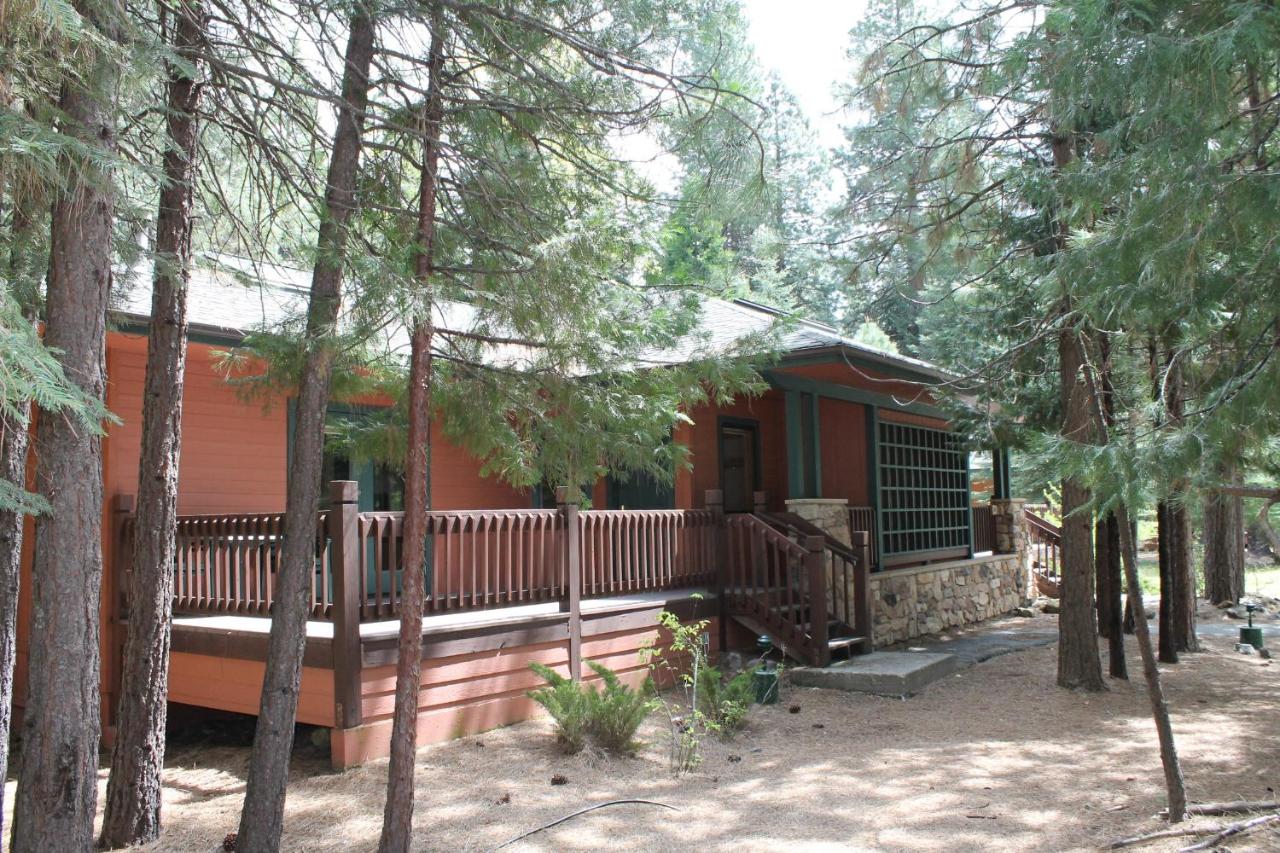 Mount Shasta Resort — photo 10