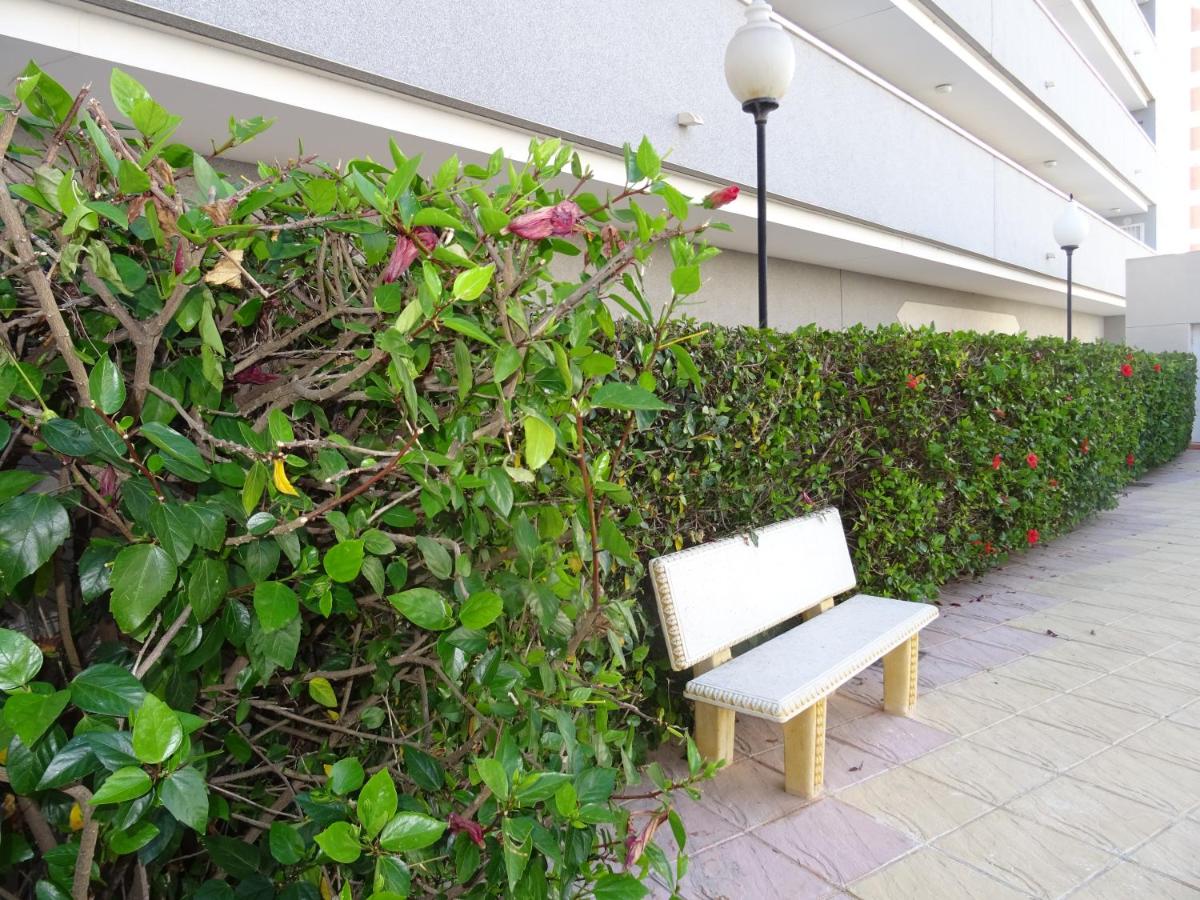 Apartamentos Puerto Principe (Испания Гуардамар-дель-Сегура ...