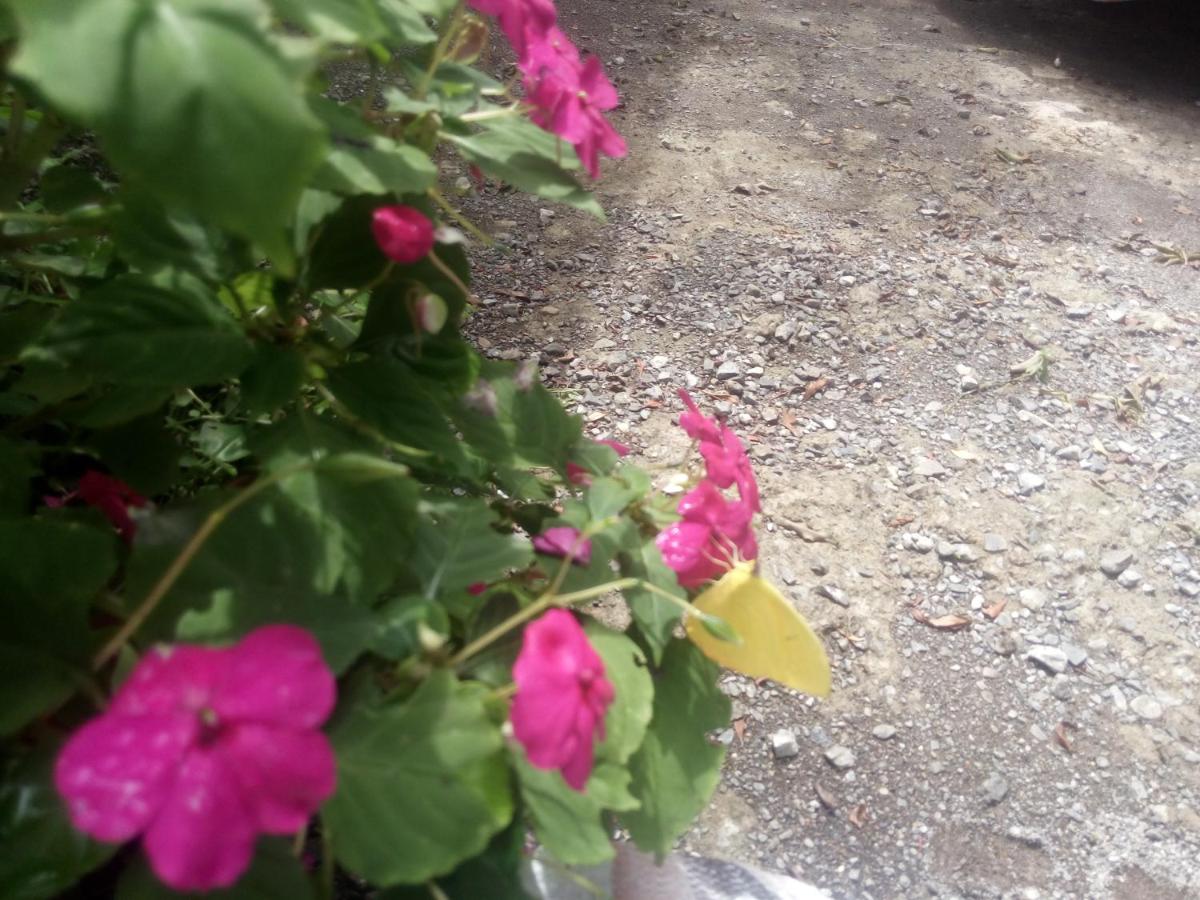 Monteverde Romantic Cottage photo