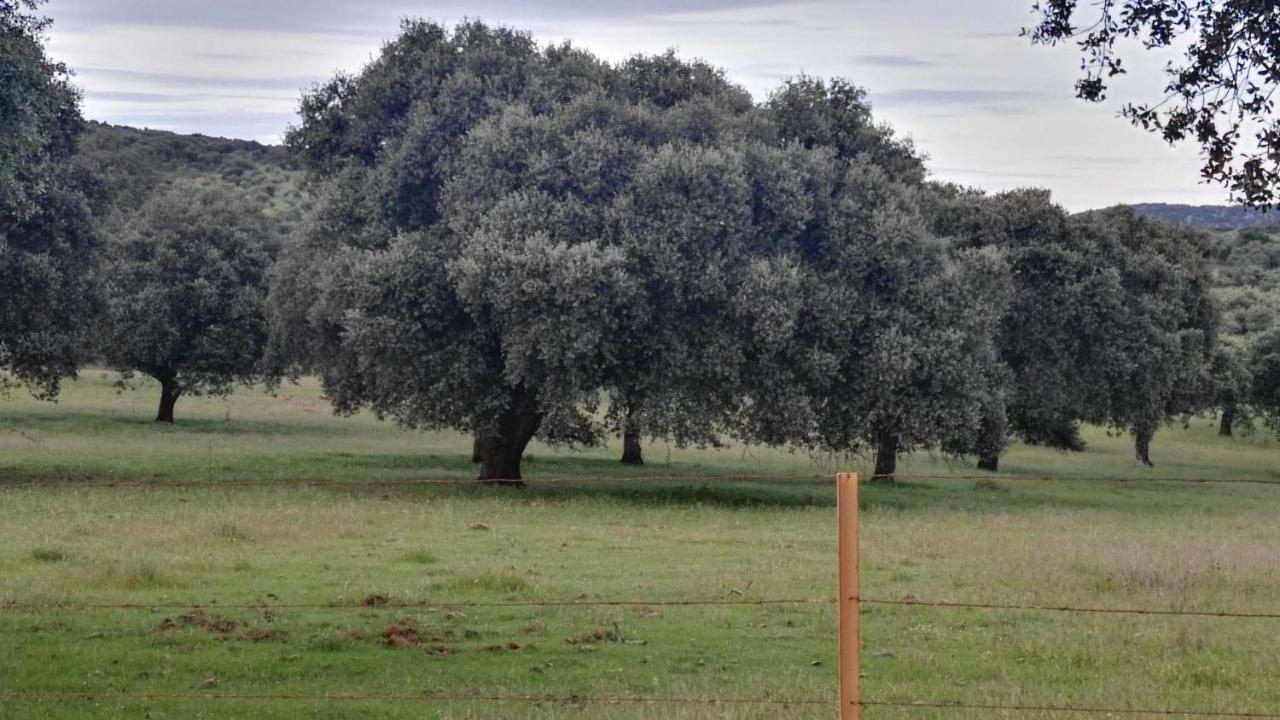 Casa Rural EL Trillo, El Alcornocal – Bijgewerkte prijzen 2022