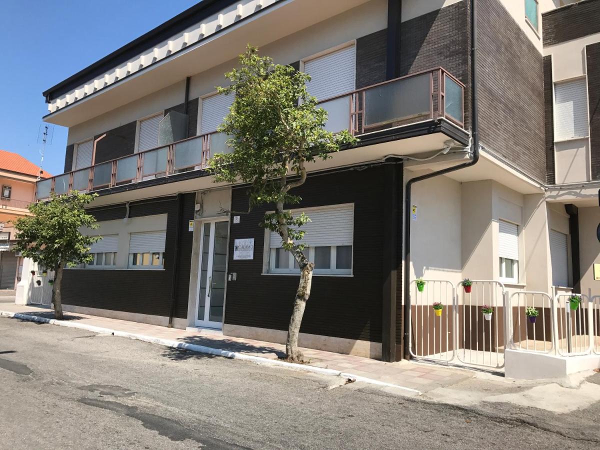 CALAMO -HOTEL -RESIDENCE- B&B photo