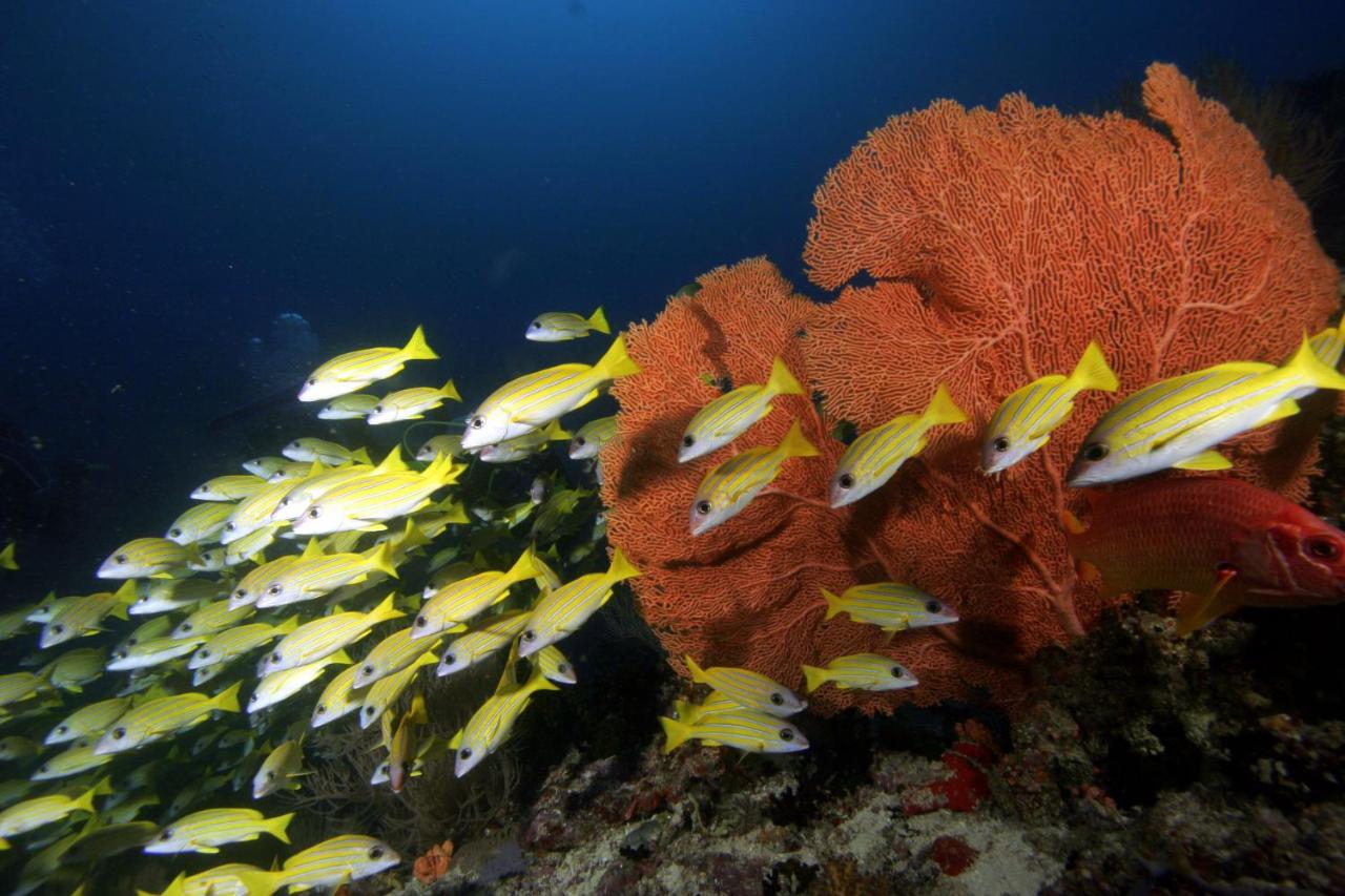 Beach: Season Paradise