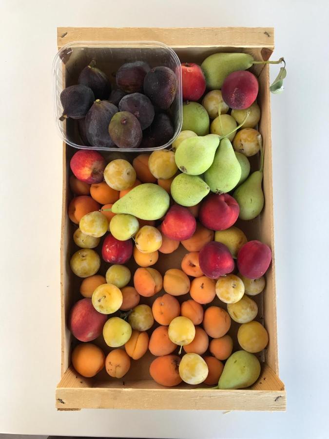 Agriturismo Villani Poderi Nesti & Cupoli - 5