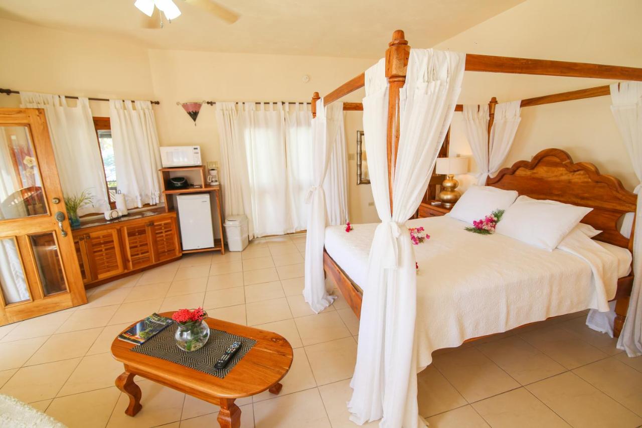 Catcha Falling Star - 4