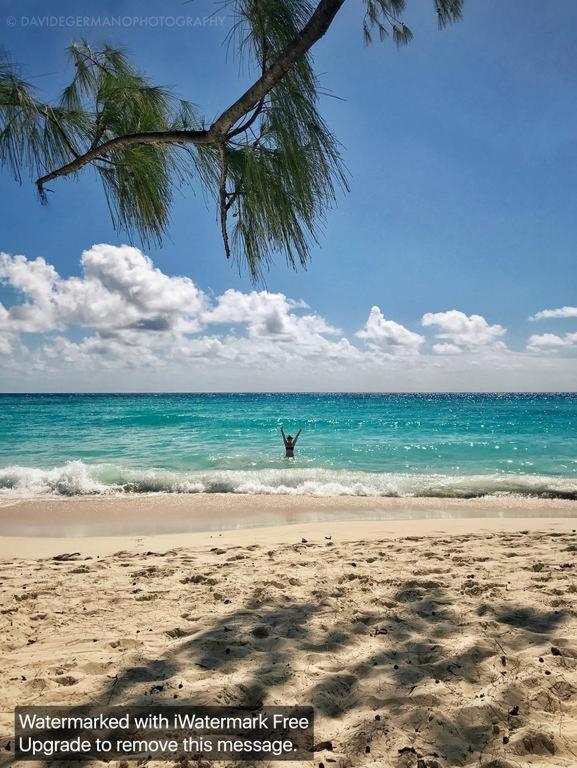 230 GG Rockley Barbados - 5