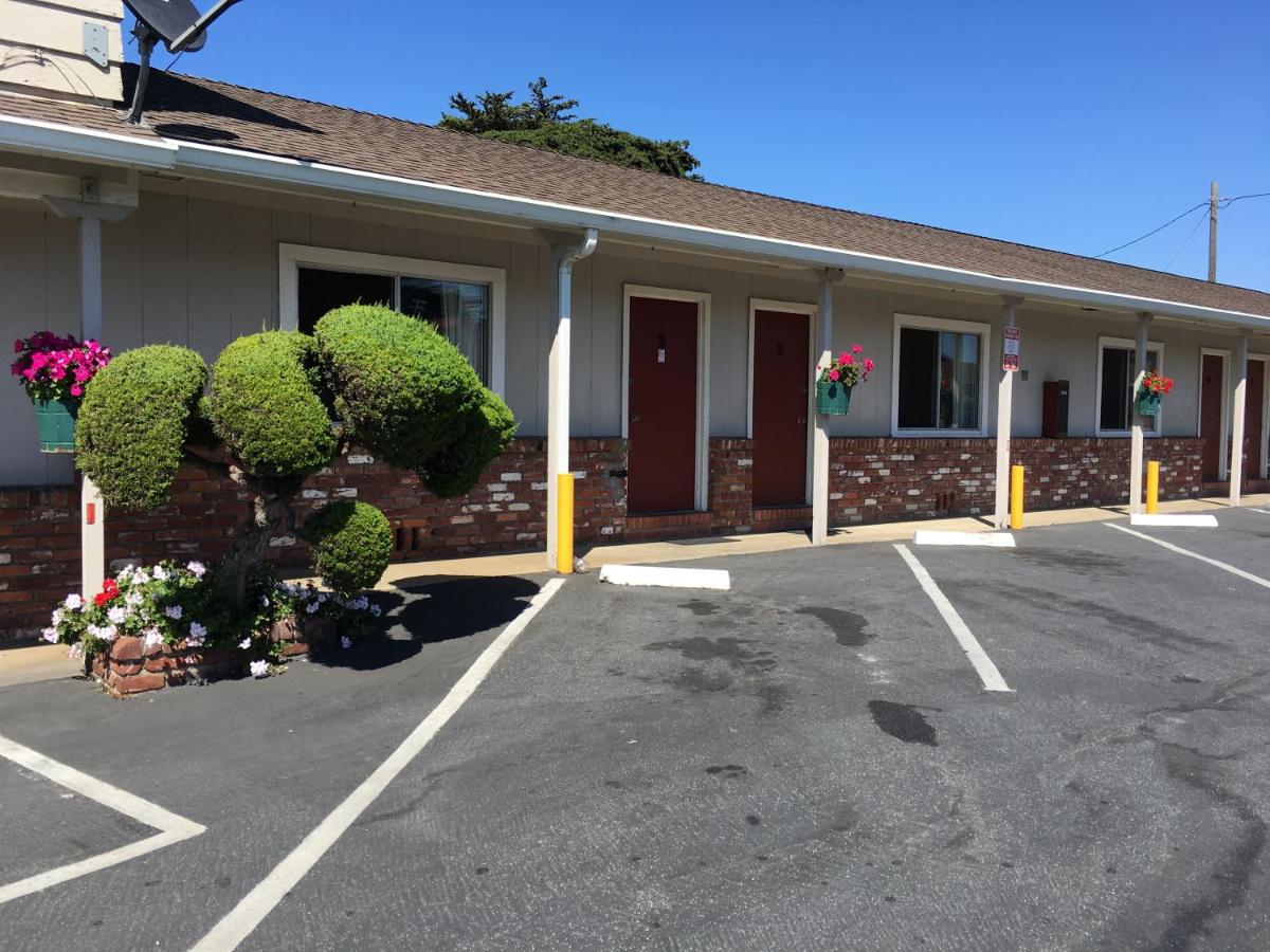 Old Marina Inn — photo 9