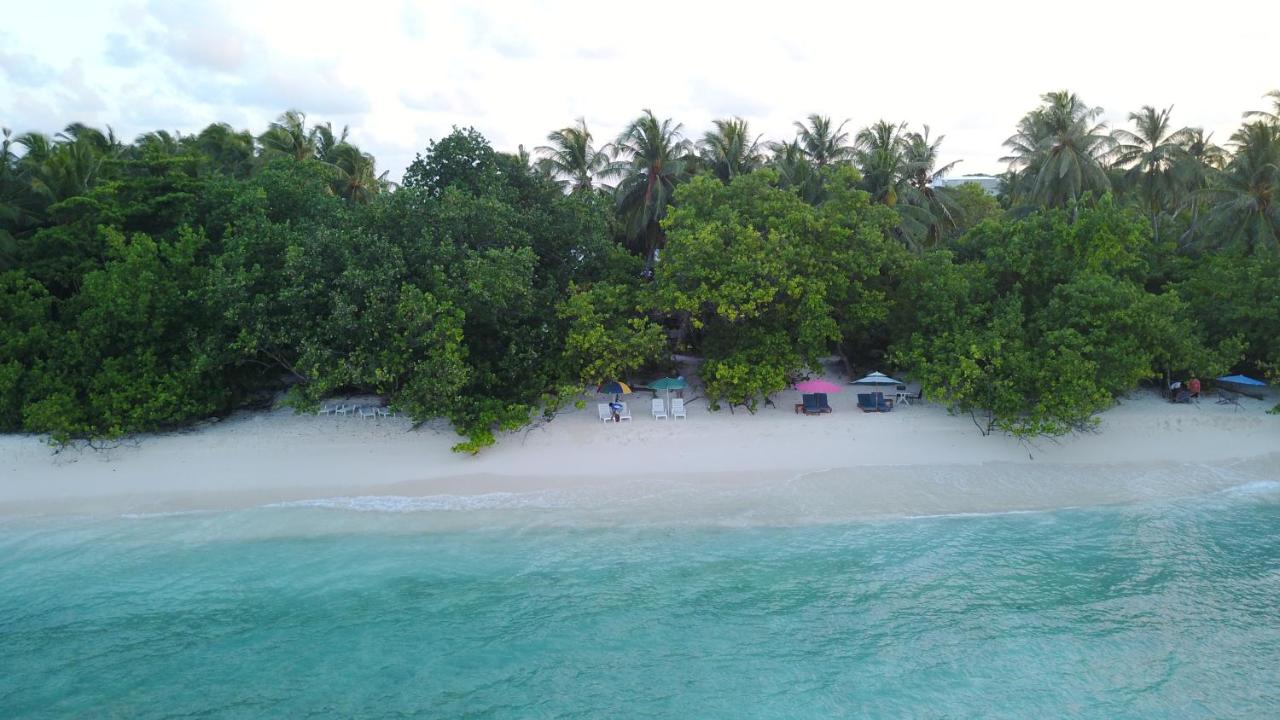 Beach: Beach Veli