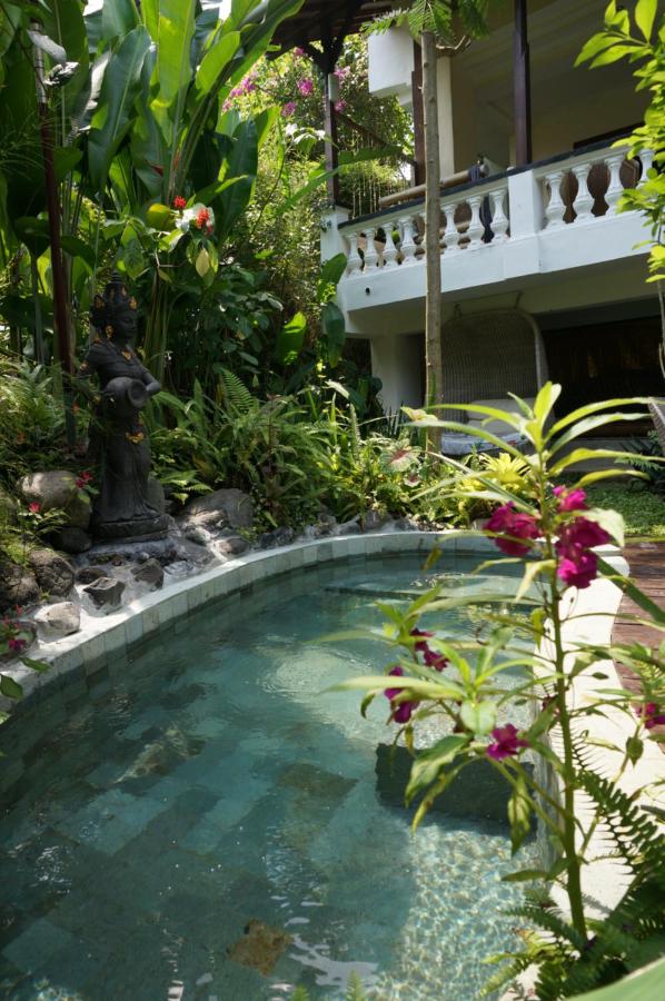 White Lotus Oasis - 4