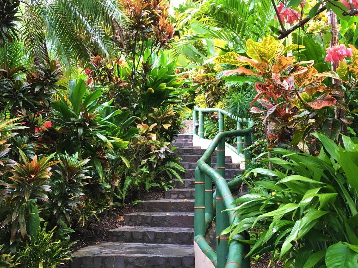 Si Como No Resort & Wildlife Refuge photo