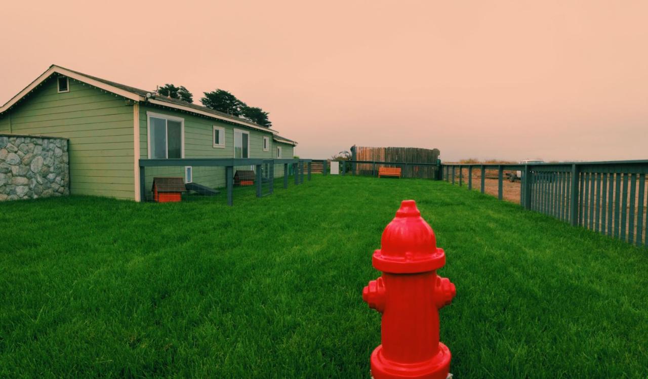 Beachcomber Motel — photo 15