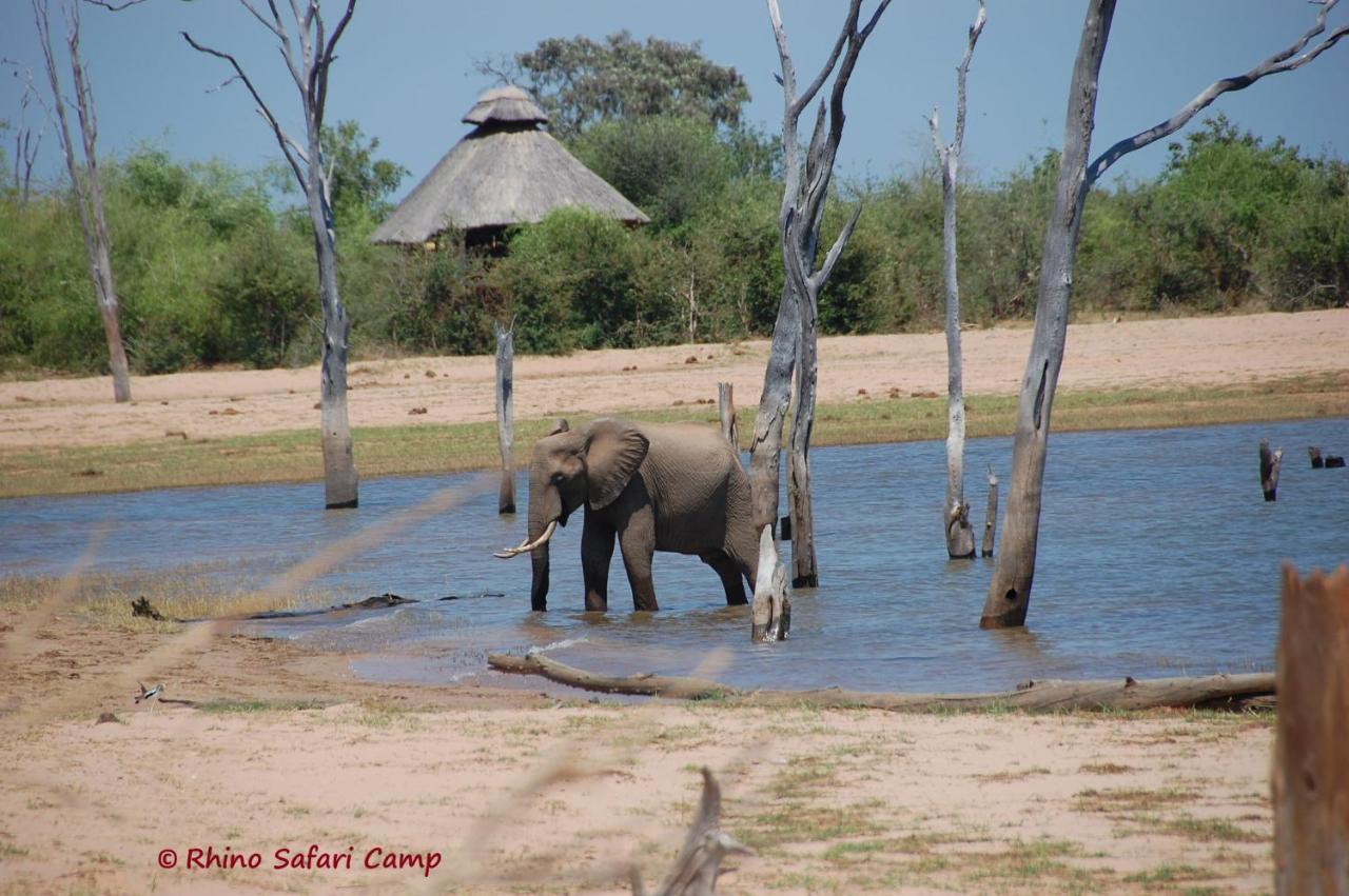 Beach: Rhino Safari Camp