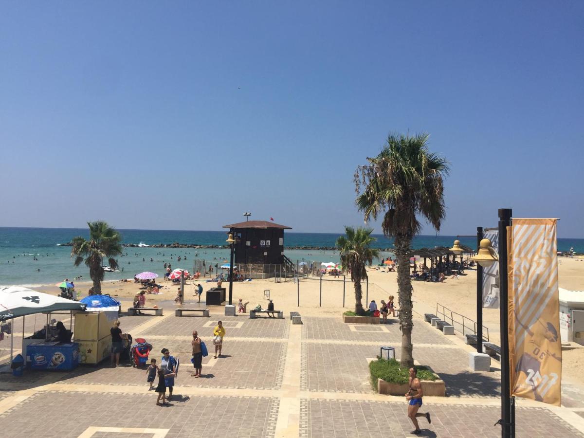 Beach: מגדל אלמוג חיפה - דירות 