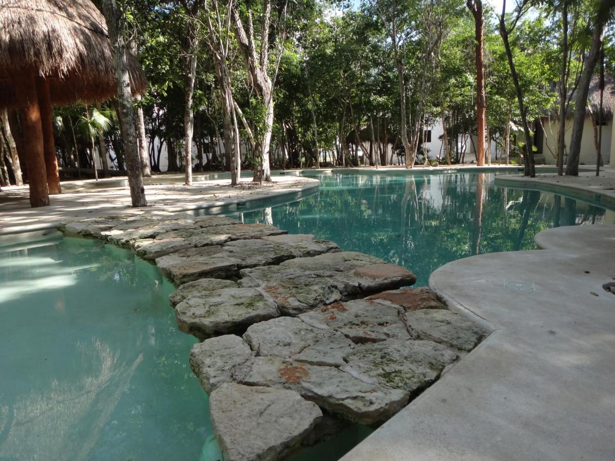 Tropical Paradise Apartment photo