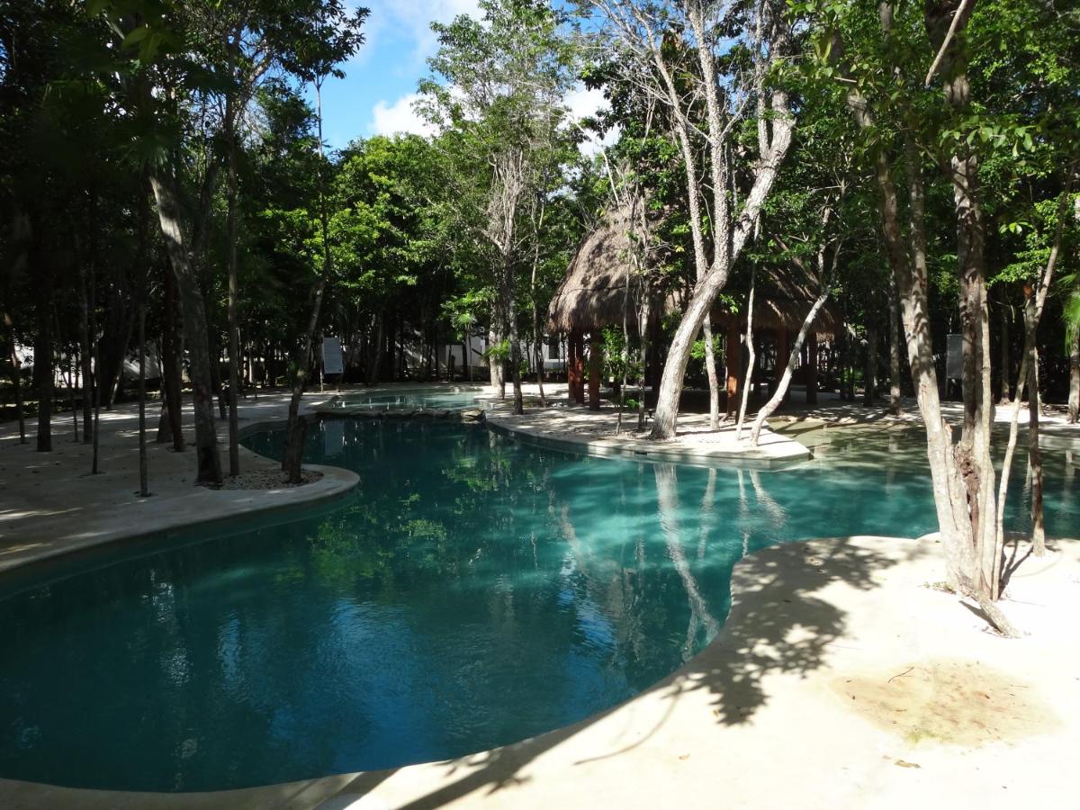 Tropical Paradise Apartment photo
