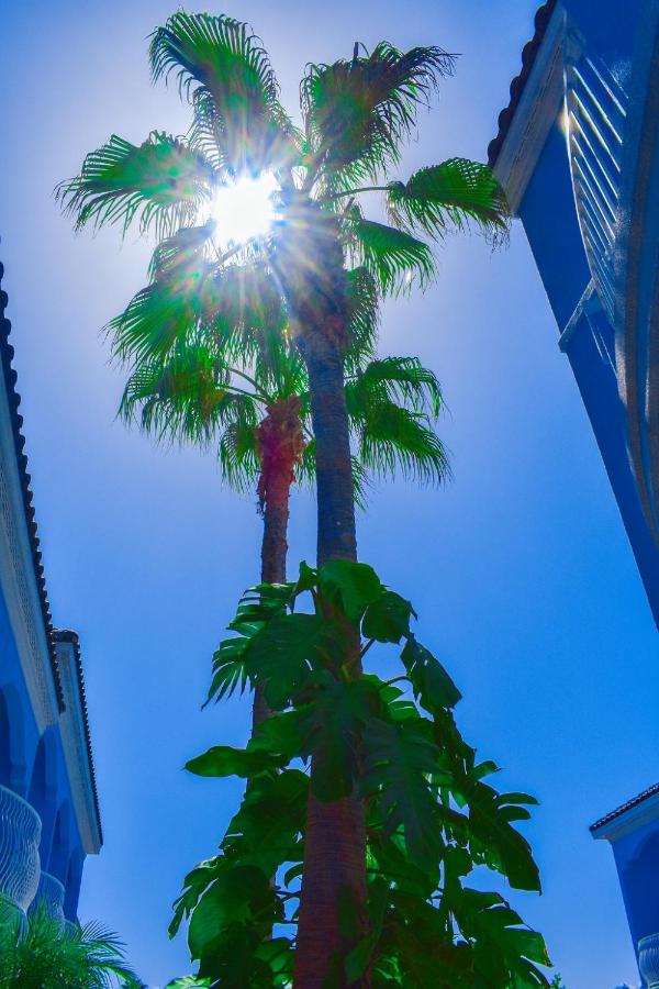 Casa Bella Hotel & Suites — photo 15