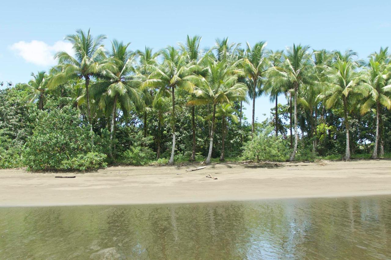 Beach: Ecolodge Mar y Rio