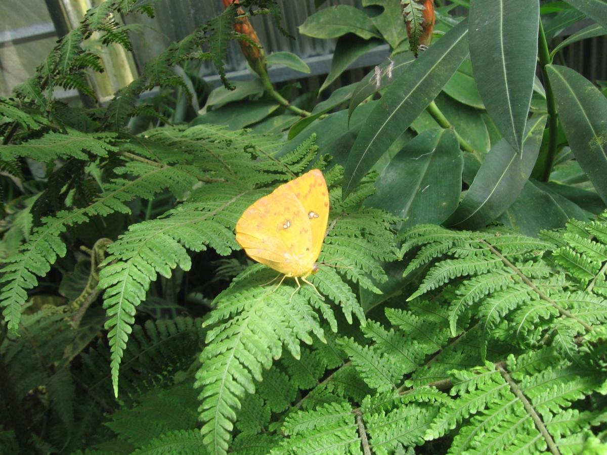 Monteverde Romantic Cottage photo