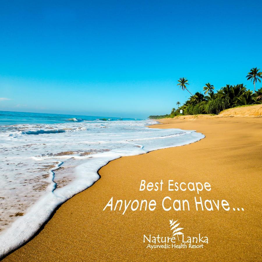 Image: Nature Lanka Ayurveda Resort - All Meals and Ayurveda Treatments with Yoga