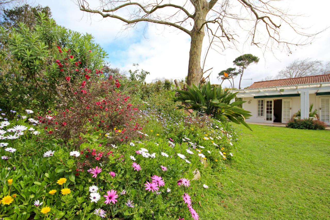 Beluga of Constantia Guest House - 4