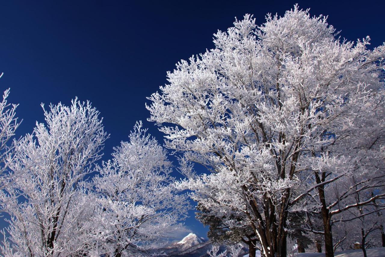 Pension Ashitaya Furano Updated 22 Prices