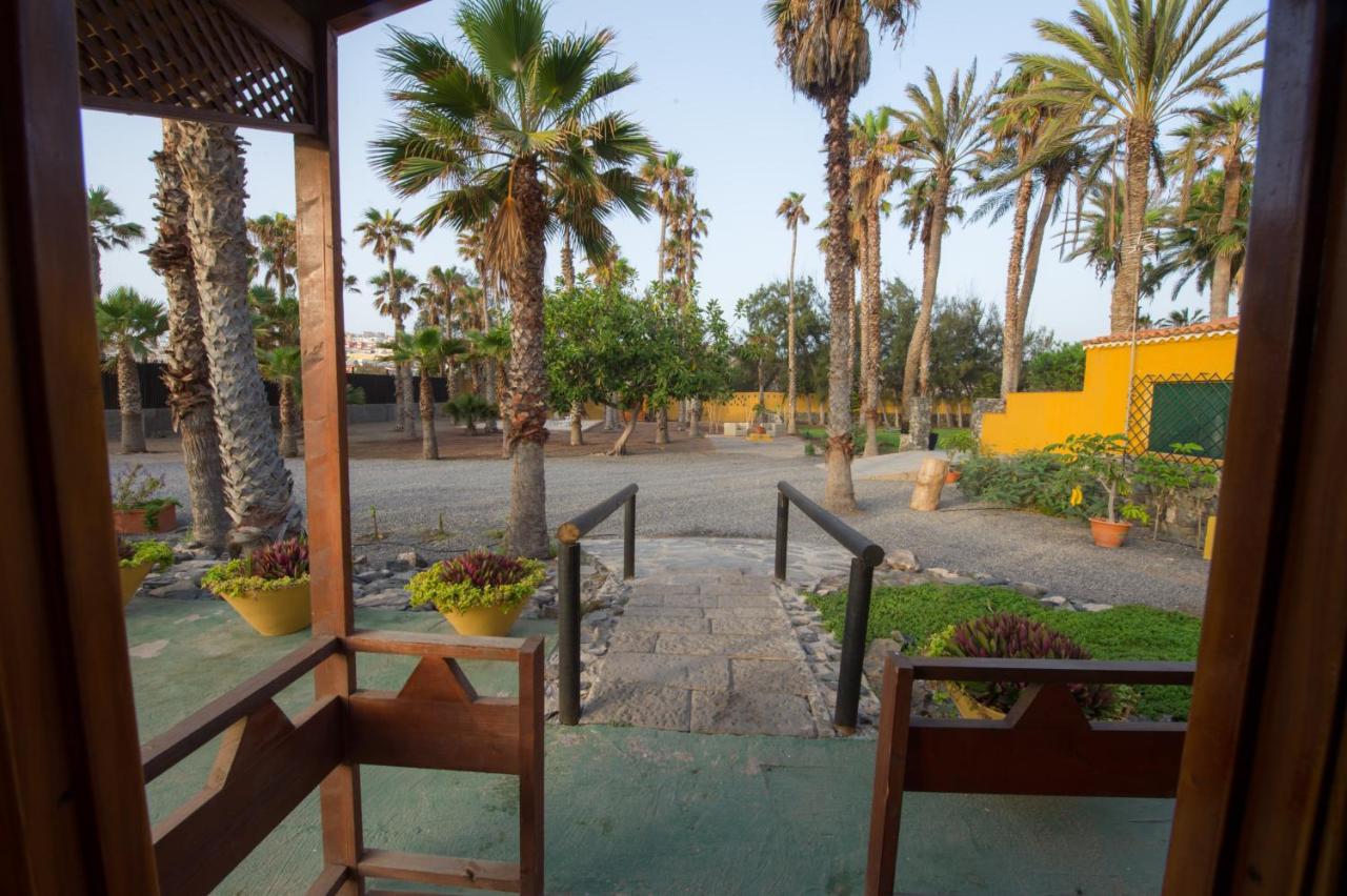 Finca Hoya Del Pozo Telde Updated 2021 Prices