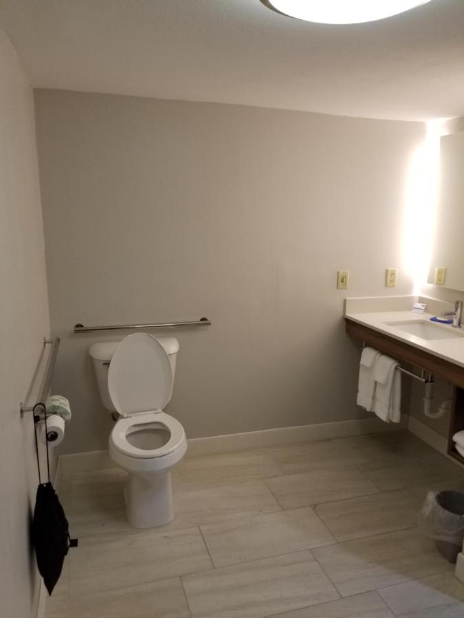 Birch Run/Frankenmuth Hotel — photo 9
