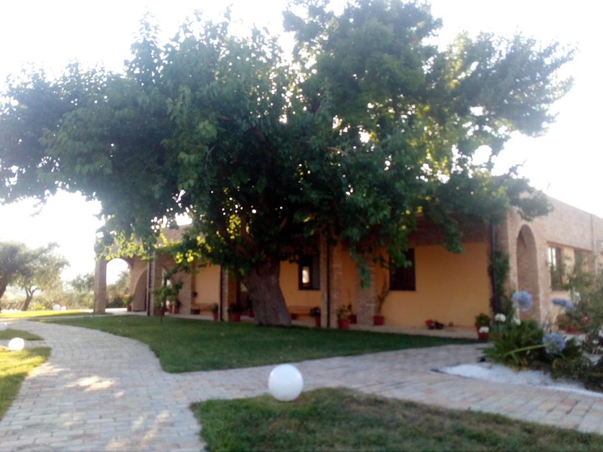 La facciata storica del casale in mattoni dell'Agriturismo Piccolo Albero