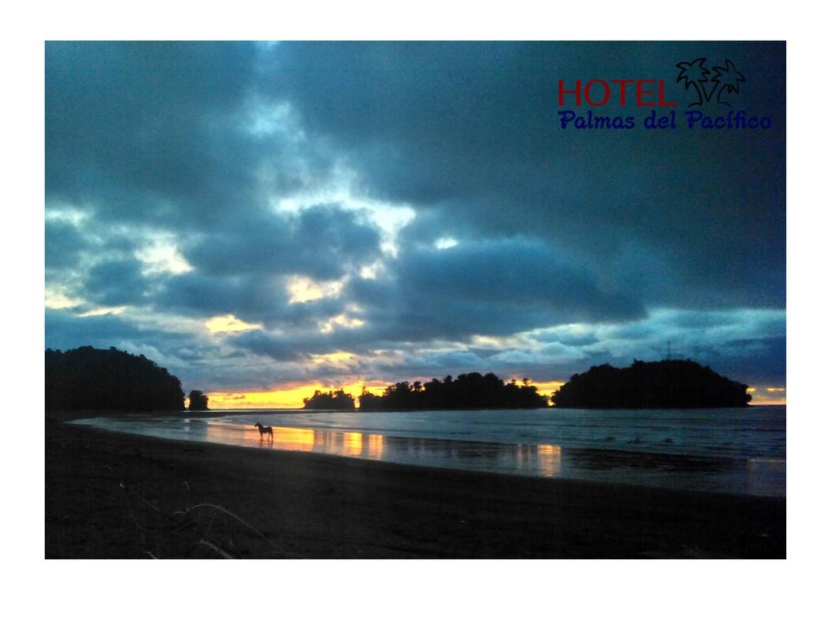 Beach: Hotel Palmas del Pacifico