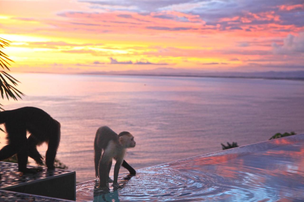 Makanda by The Sea Hotel Adults Only photo