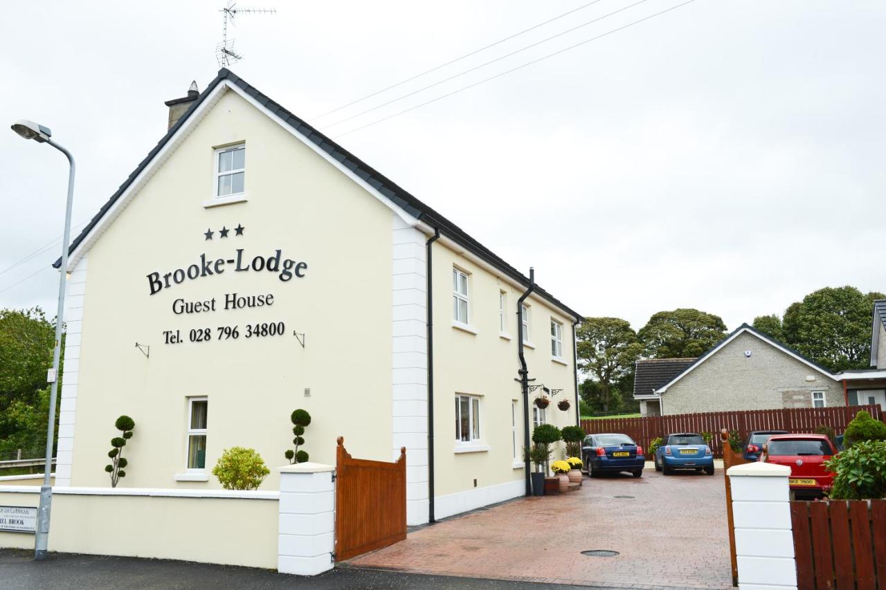Brooke Lodge Guesthouse - Laterooms