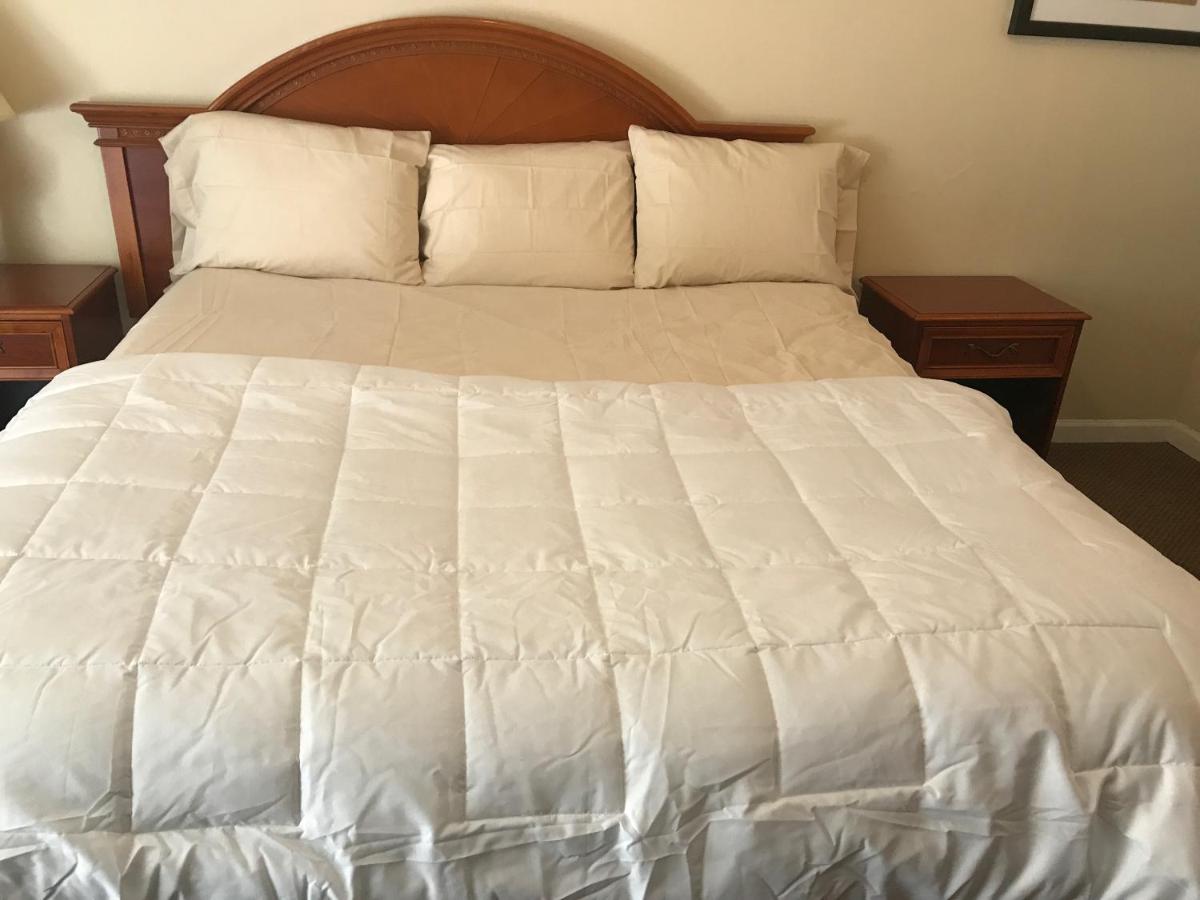 Red Carpet Inn / Bouton Inn — photo 19