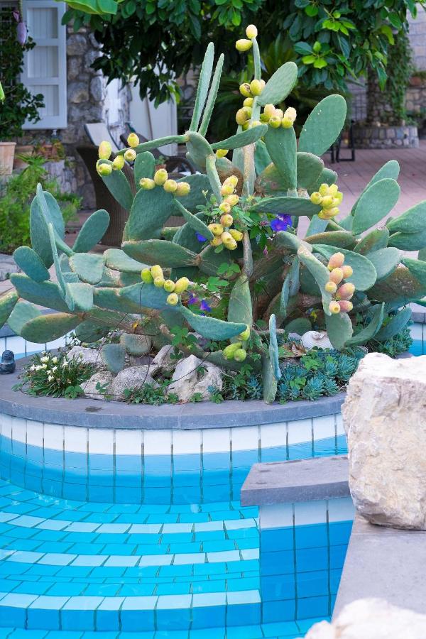 Villa Ketty Resort photo