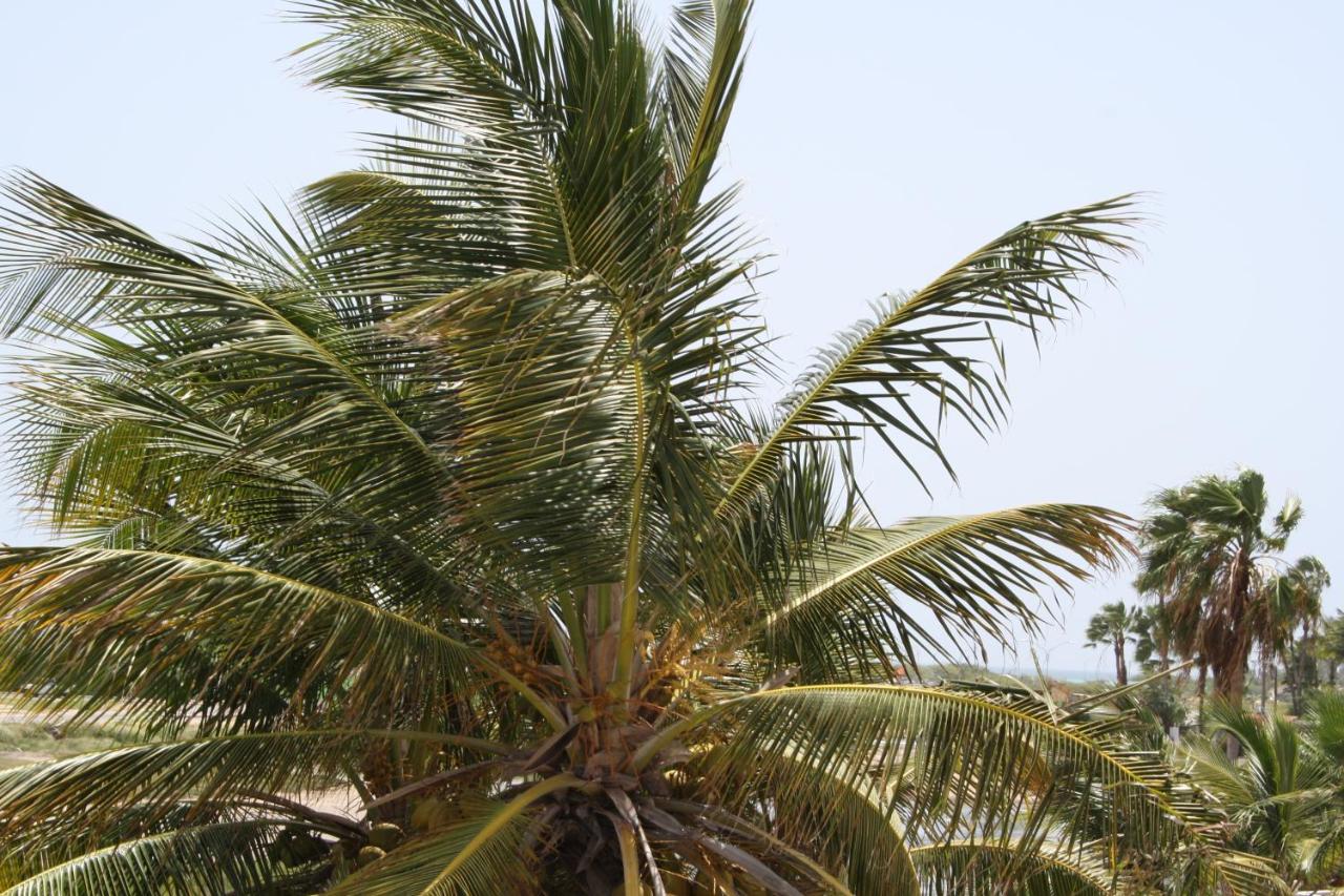 Karibu Aruba Boutique Hotel photo