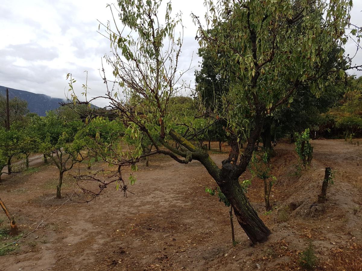 Country house Finca Cecilio, Órgiva, Spain - Booking.com