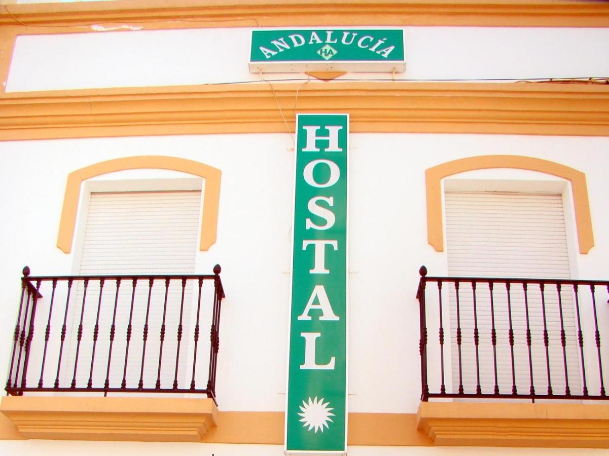 Hostal Andalucia - 2