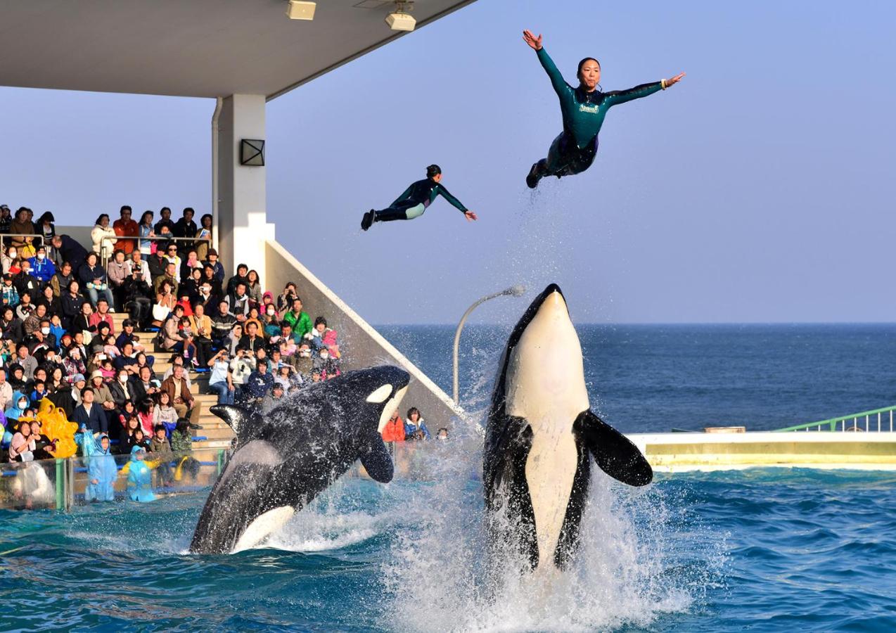 Kamogawa Sea World Hotel, Kamogawa – Cập nhật Giá năm 2021