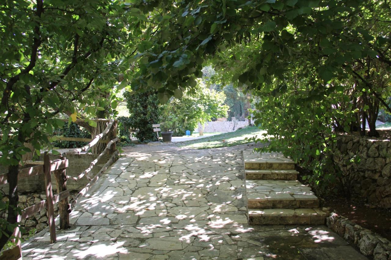 Domaine de Chouchene photo