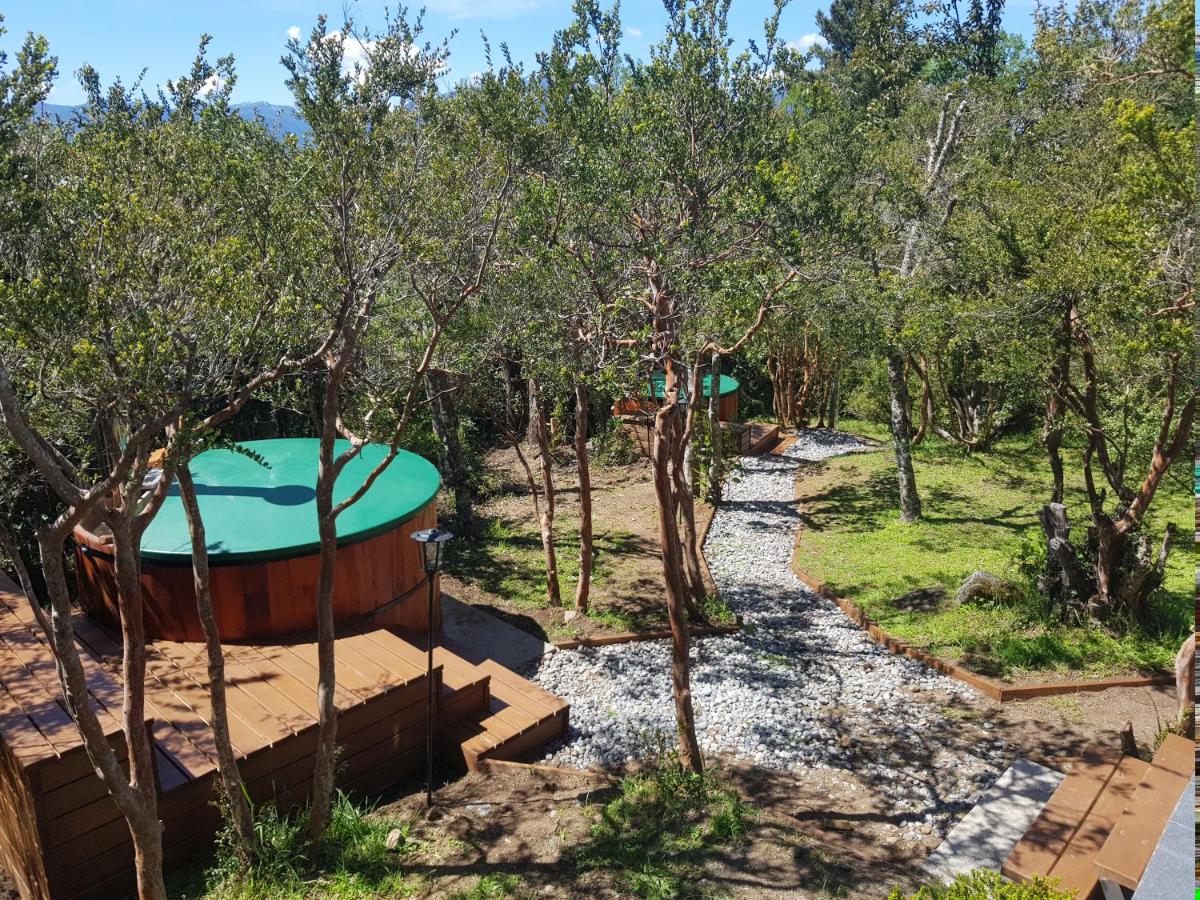 Bambu Lodge photo