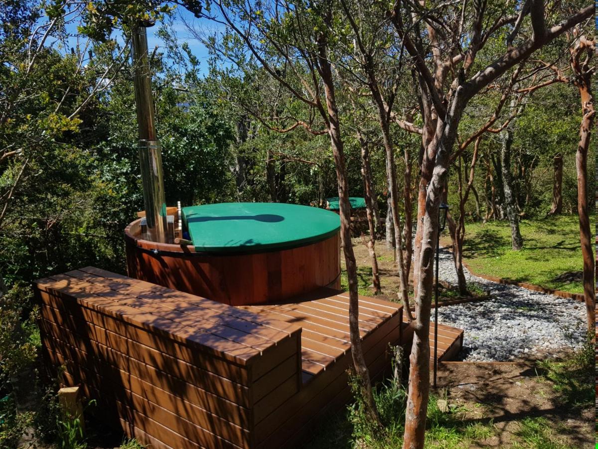 Bambu Lodge photo