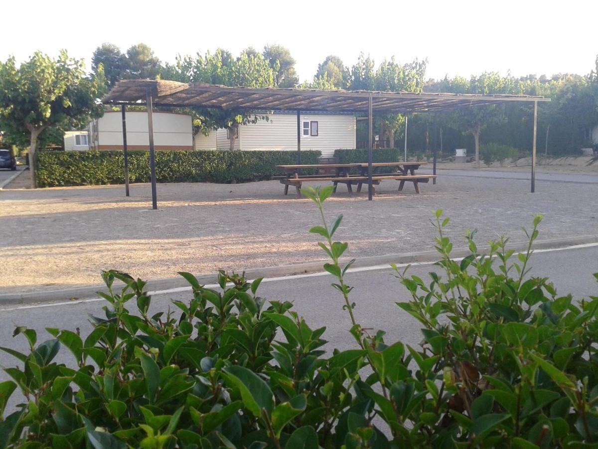 Camping Fayón Fishing, Fayón – Precios actualizados 2022