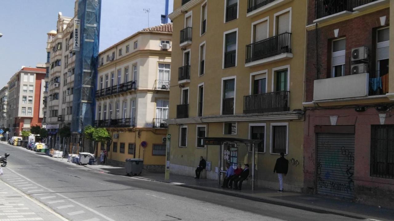 Fan Flat Rosaleda - 3