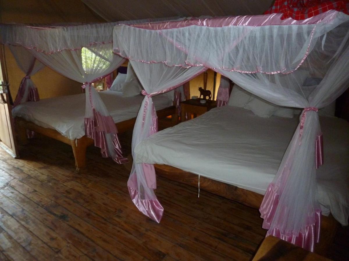 Stevenson Egomania Marty Fielding Roika Tarangire Tented Lodge, Kwa Kuchinia – Updated 2023 Prices