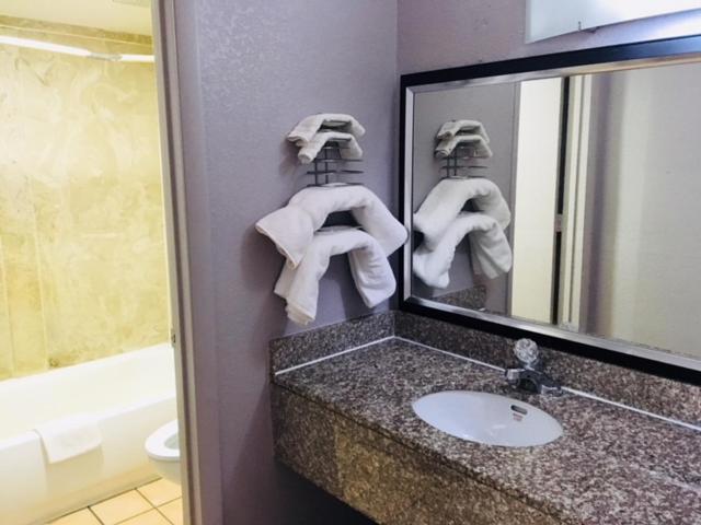Deluxe Inn — photo 10