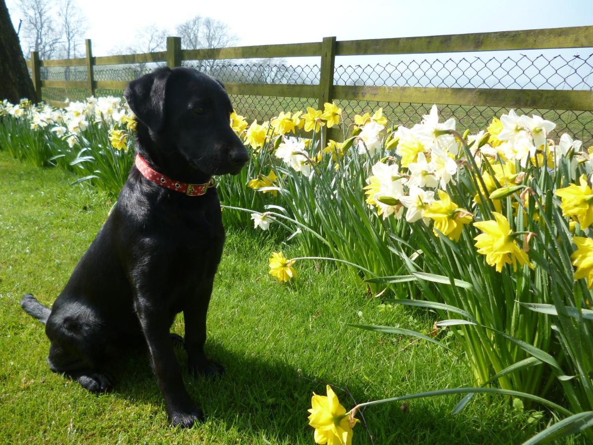 White House Farm Cottages West Haddon Ceny Aktualizovany 2022