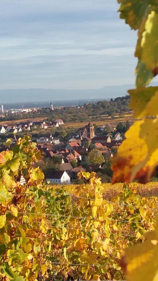 Vacation Home Les 7 Cepages Rosheim France Booking Com