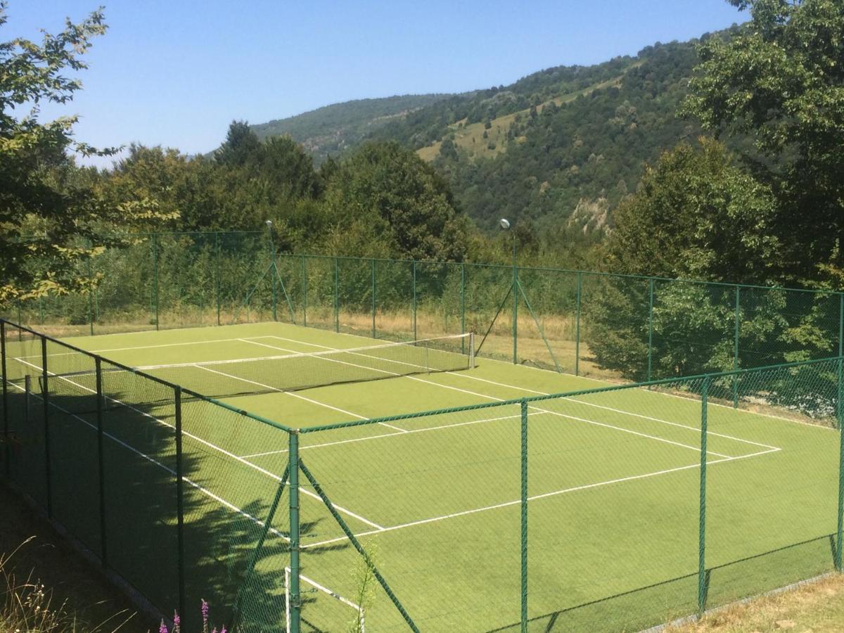 Tennis court: Park Hotel Ribaritsa