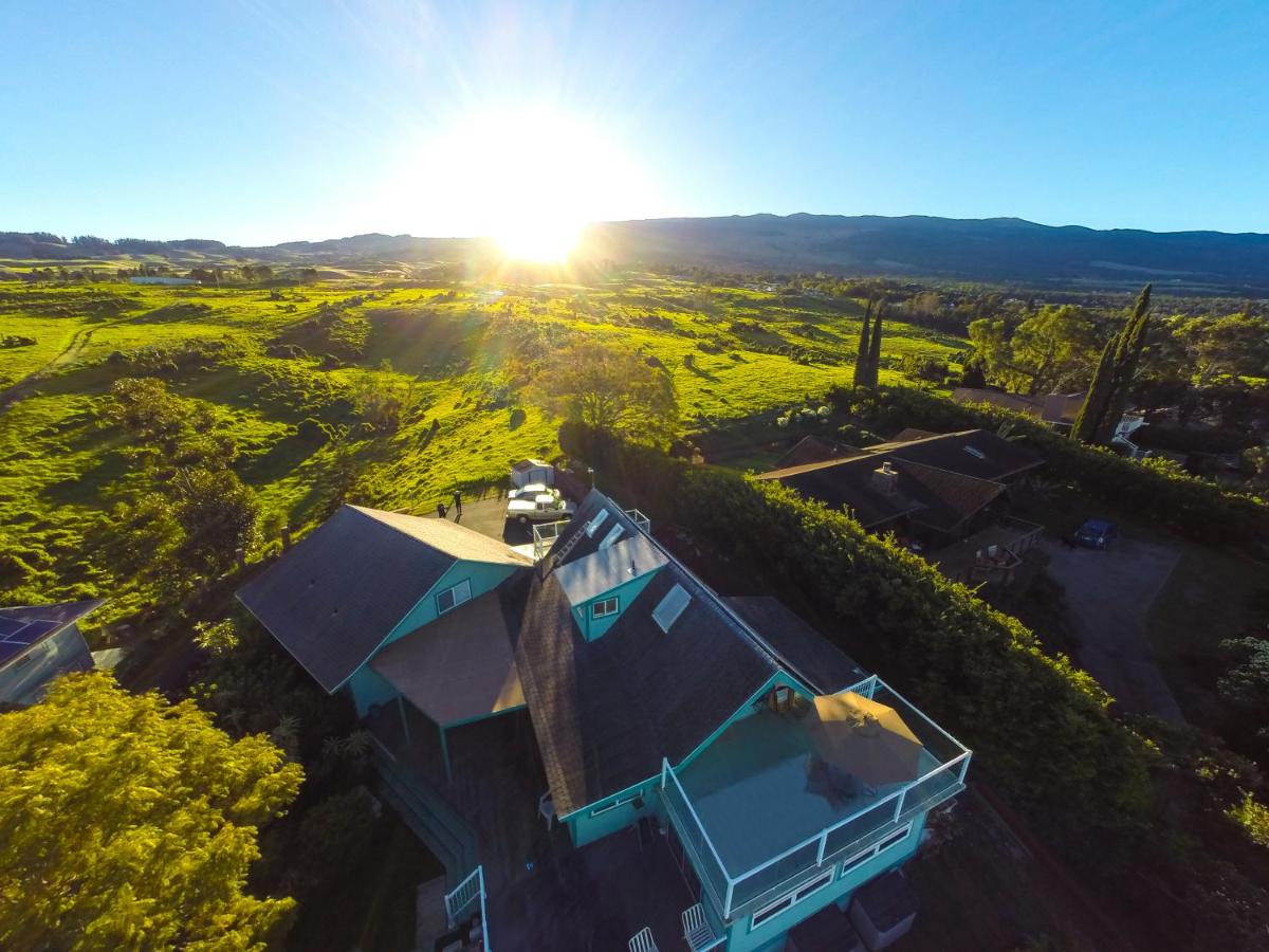 Ha'le Kiana B & B — photo 24