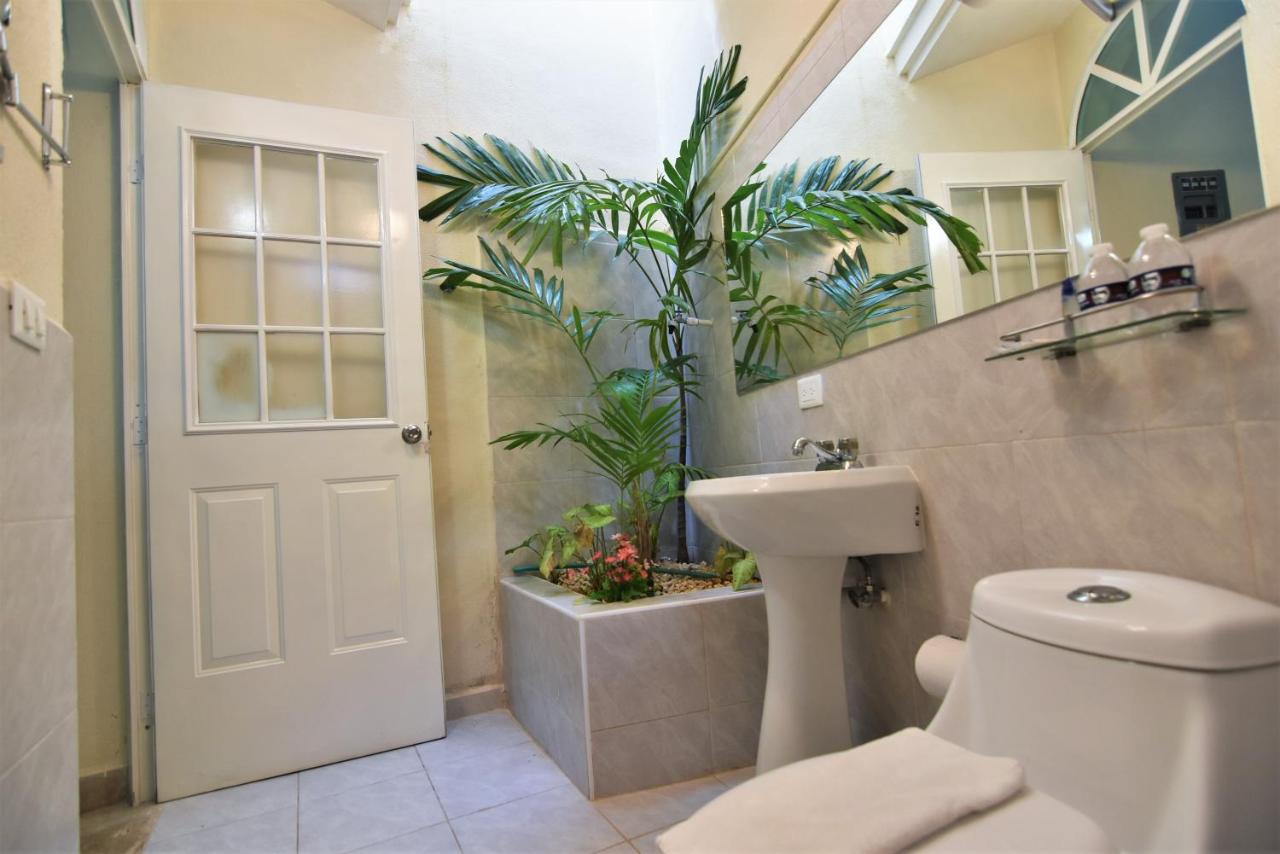 Tulipanes Cancun - 3